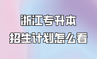 浙江專升本招生計劃怎么看.png
