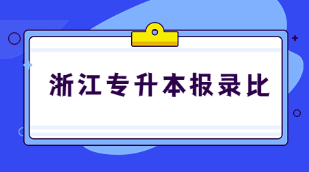 浙江專升本報錄比