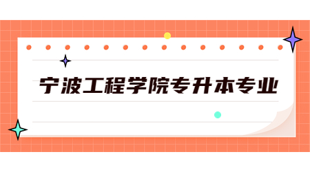 寧波工程學(xué)院專升本專業(yè)