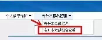 浙江專升本報名提交完信息后需要注意什么？